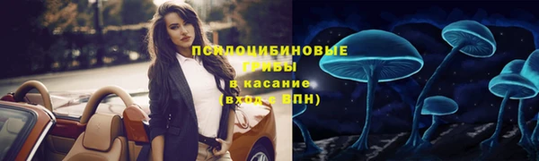 apvp Алзамай