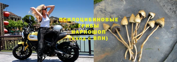не бодяженный Армянск